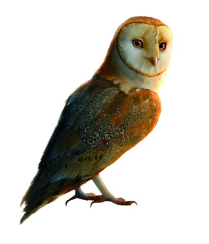 őszi állatok_112.png